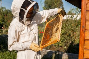 beekeeper