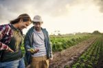 Organic Farmer