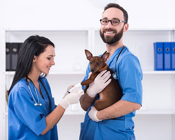 Veterinary Technician