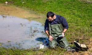 wildlife-biologist