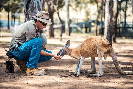 Zoologist