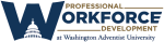 Professional Workforce Development