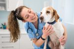 Veterinary Assistant