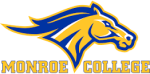 Monroe College-Bronx logo